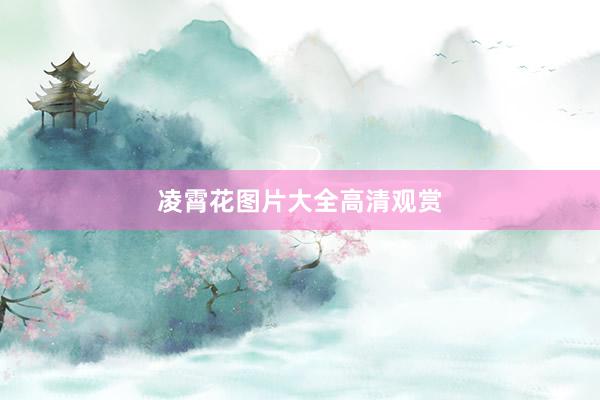 凌霄花图片大全高清观赏