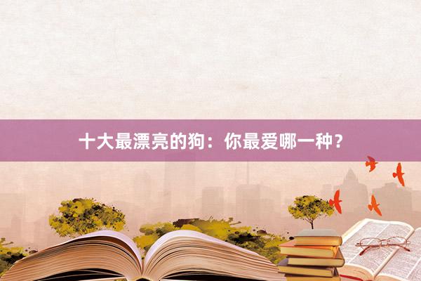 十大最漂亮的狗：你最爱哪一种？